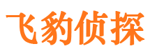 陇西侦探公司